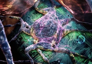 Virus eltávolítás